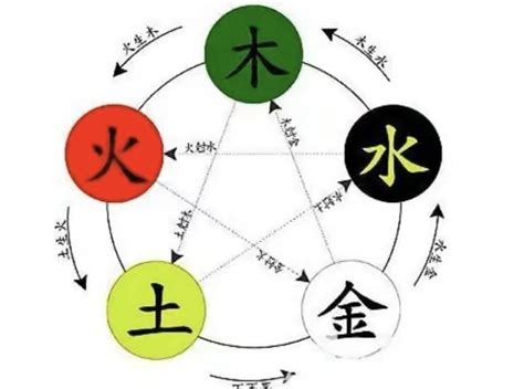 喬五行|喬字的五行属性